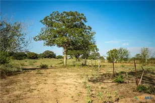 1116 Earl Williams Rd, Yorktown, TX 77954 - Photo 27