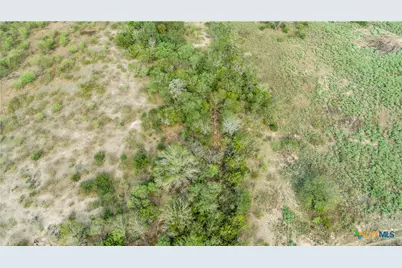1116 Earl Williams Road, Yorktown, TX 77954 - Photo 9