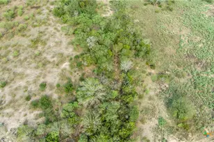 1116 Earl Williams Rd, Yorktown, TX 77954 - Photo 9