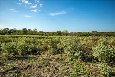 1116 Earl Williams Road, Yorktown, TX 77954 - Photo 17