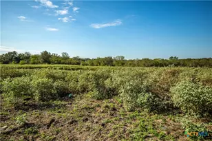 1116 Earl Williams Rd, Yorktown, TX 77954 - Photo 17