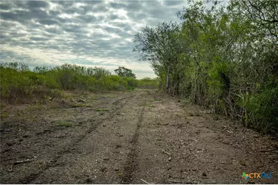 1116 Earl Williams Road, Yorktown, TX 77954 - Photo 37