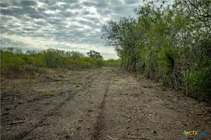 1116 Earl Williams Rd, Yorktown, TX 77954 - Photo 37