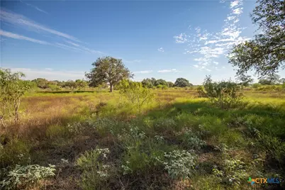 Tba State Highway 119, Yorktown, TX 78164 - Photo 27