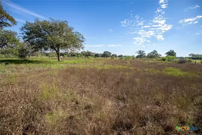Tba State Highway 119, Yorktown, TX 78164 - Photo 29