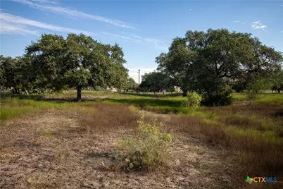 Tba State Highway 119, Yorktown, TX 78164 - Photo 9