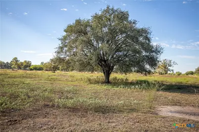 Tba State Highway 119, Yorktown, TX 78164 - Photo 5