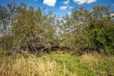 0 Hotz Road, Cuero, TX 77954 - Photo 39