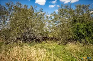 0 Hotz Rd, Cuero, TX 77954 - Photo 39