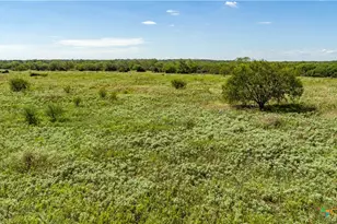 0 Hotz Rd, Cuero, TX 77954 - Photo 9