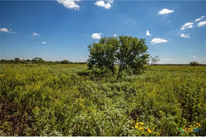 0 Hotz Road, Cuero, TX 77954 - Photo 43