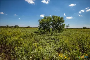 0 Hotz Rd, Cuero, TX 77954 - Photo 43