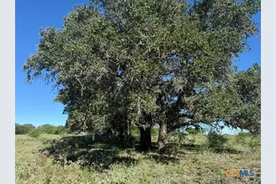 2607 Fm 318, Yoakum, TX 77995 - Photo 9