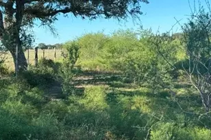 2607 FM318, Yoakum, TX 77995 - Photo 17