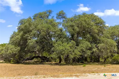 14511 Fm 32, Blanco, TX 78606 - Photo 45