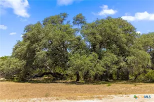 14511 Fm 32, Blanco, TX 78606 - Photo 45