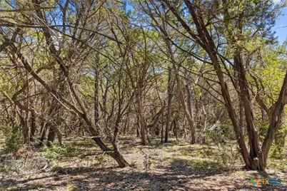 14511 Fm 32, Blanco, TX 78606 - Photo 43