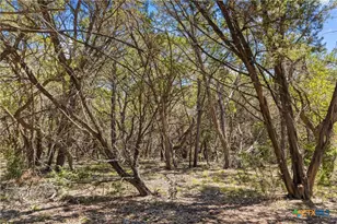 14511 Fm 32, Blanco, TX 78606 - Photo 43