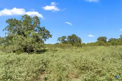 6625 N Old Smithville Road, Flatonia, TX 78941 - Photo 11