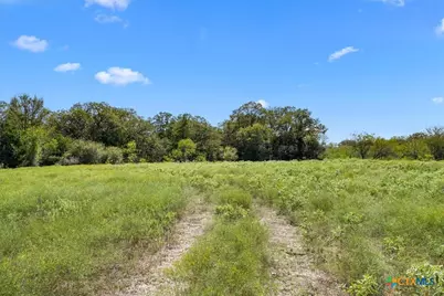 6625 N Old Smithville Road, Flatonia, TX 78941 - Photo 5