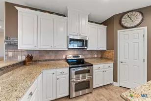 2888 County Rd 136, Kenedy, TX 78119 - Photo 11