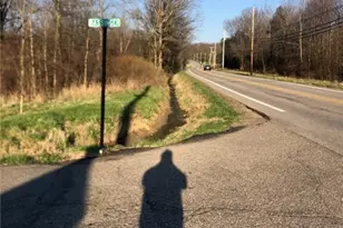 11695 Basinger Rd, North Lima, OH 44452 - Photo 9