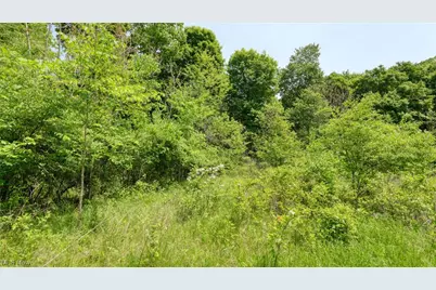 63600 Wintergreen Road, Lore City, OH 43755 - Photo 11