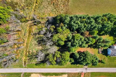 6 Nezbar Drive, Warren, OH 44481 - Photo 7