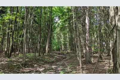 9376 Daniels Road, Seville, OH 44273 - Photo 23