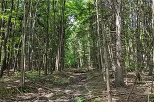 9376 Daniels Rd, Seville, OH 44273 - Photo 23