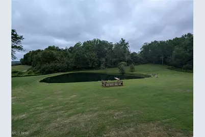 46136 Carlisle Road, Lisbon, OH 44432 - Photo 23