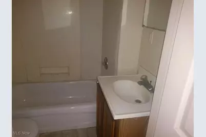 1011 E 63rd Street, Loveland, OH 44103 - Photo 9