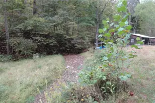 956 Hog Run Rd, New Martinsville, WV 26155 - Photo 19