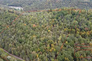 956 Hog Run Rd, New Martinsville, WV 26155 - Photo 27