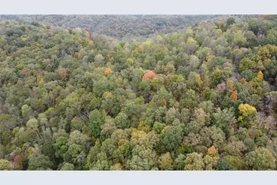 956 Hog Run Road, New Martinsville, WV 26155 - Photo 23