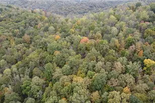 956 Hog Run Rd, New Martinsville, WV 26155 - Photo 23