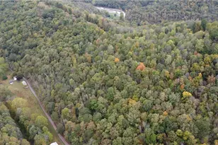 956 Hog Run Rd, New Martinsville, WV 26155 - Photo 25
