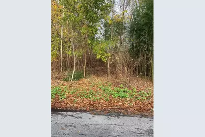 265 E Pace Avenue, Coventry, OH 44319 - Photo 1