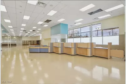 475 E 185th, Loveland, OH 44119 - Photo 9