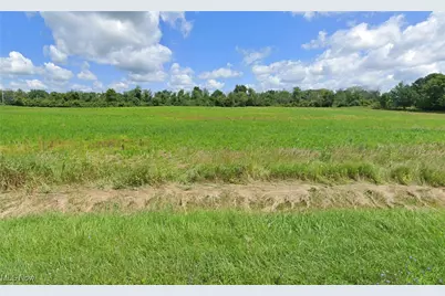 Parcel B Chippewa Road, Chippewa Lake, OH 44215 - Photo 1