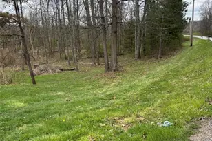 13516 Old Glory Rd, Lore City, OH 43755 - Photo 7