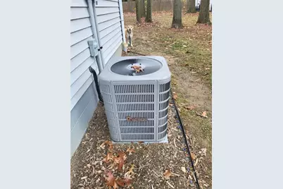 1239 Woodledge Drive, Mineral Ridge, OH 44440 - Photo 11