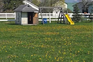 2750 Moore Rd, Orwell, OH 44076 - Photo 47