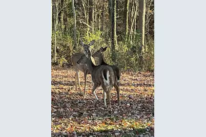 6570 State Route 339, Vincent, OH 45784 - Photo 37