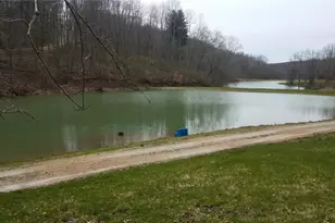 87038 Keyser Rd, Cadiz, OH 43907 - Photo 39