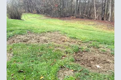 38722 State Route 518 Road, Lisbon, OH 44432 - Photo 35