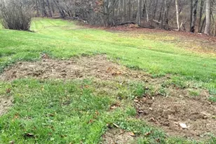 38722 State Route 518 Rd, Lisbon, OH 44432 - Photo 35