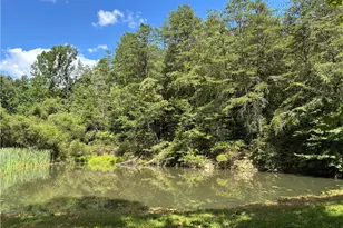 8089 Elk Fork Rd, Middlebourne, WV 26149 - Photo 43