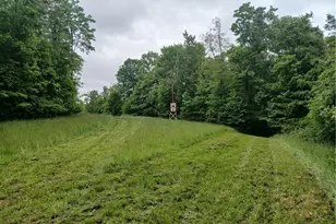 85200 Merryman Rd, Cadiz, OH 43907 - Photo 49