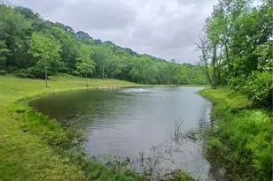 85200 Merryman Rd, Cadiz, OH 43907 - Photo 17